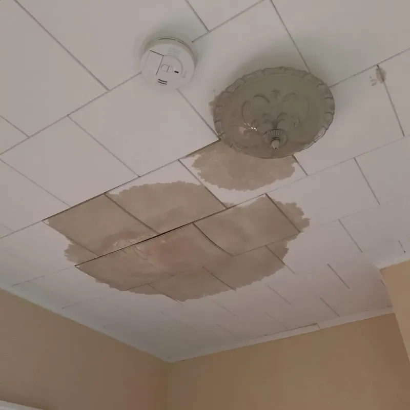 Ceiling Water Damage Repair in Antioch, IL