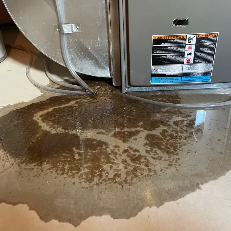 Pipe Burst and Leak Restoration in Antioch, IL