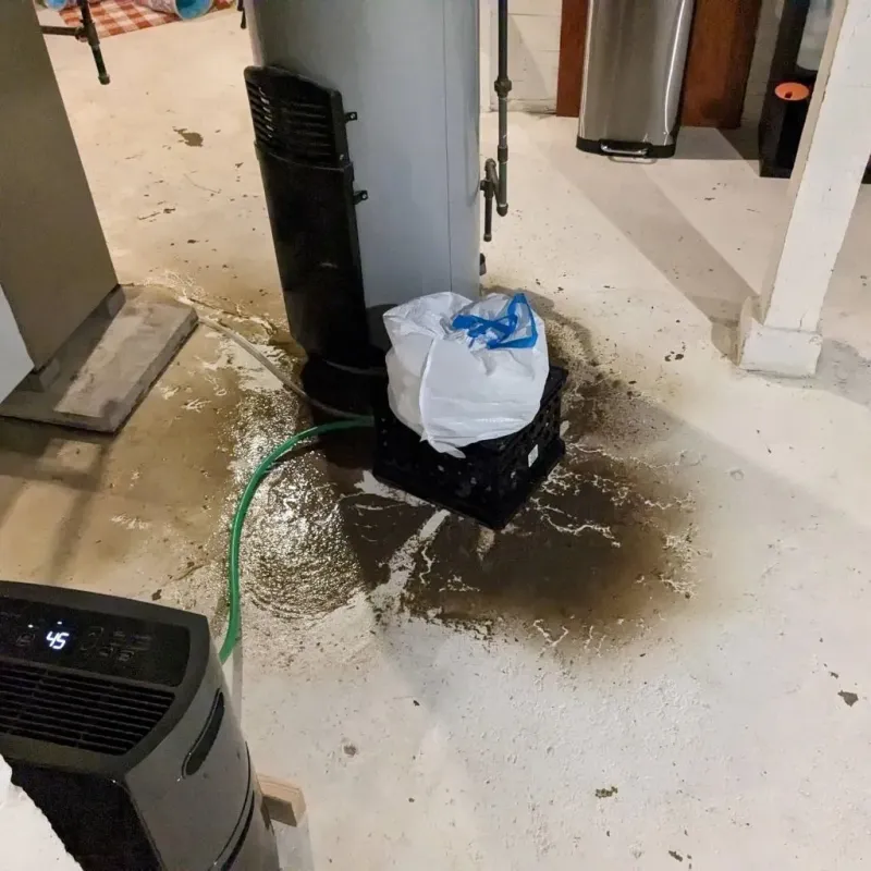 Sewage Backup Cleanup Service in Antioch, IL